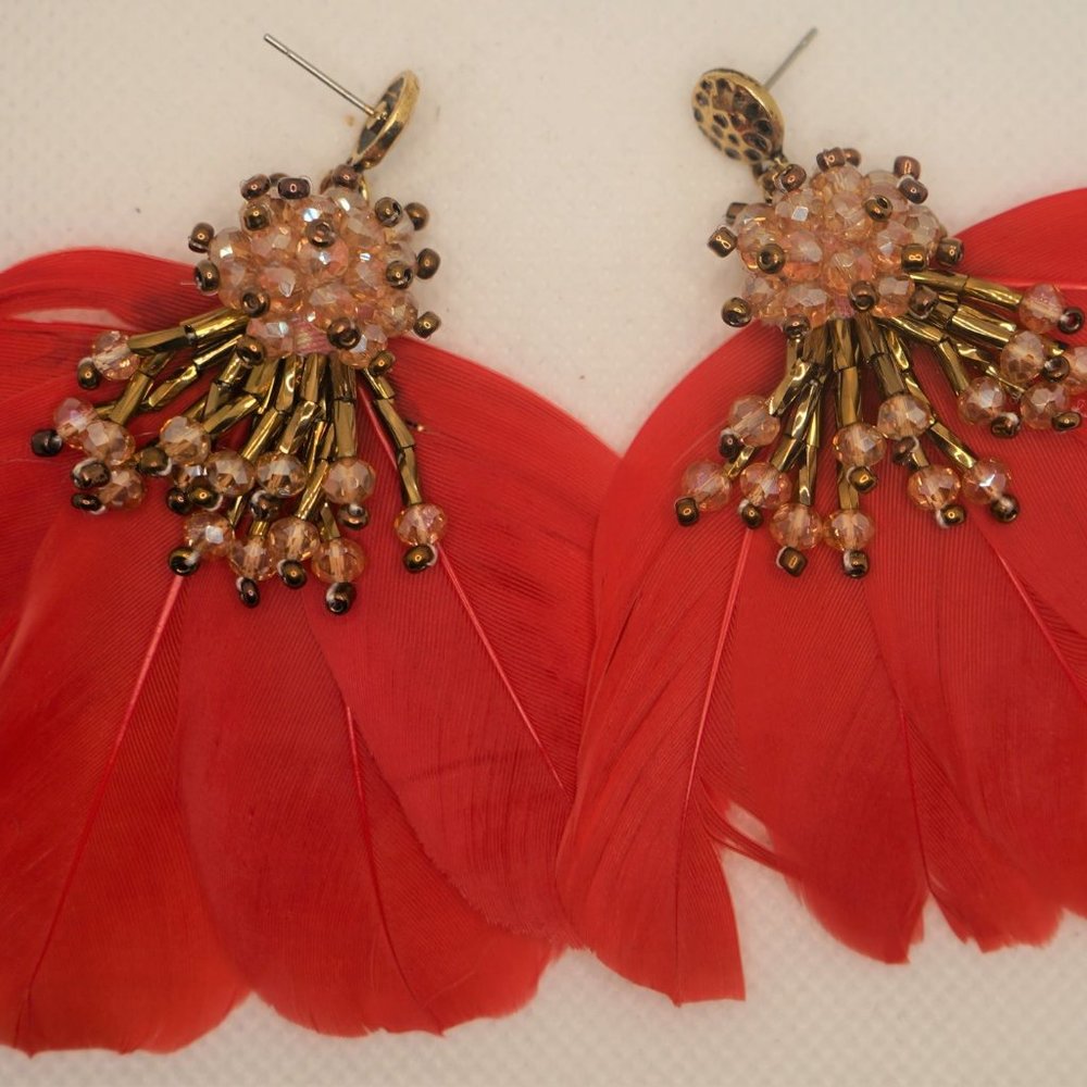 Fancy Feathers - Picture 4 of 5